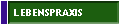 LEBENSPRAXIS